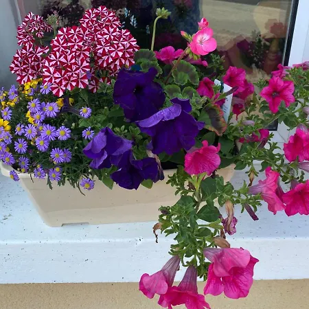 Pansiyon Castlebaldwin Country