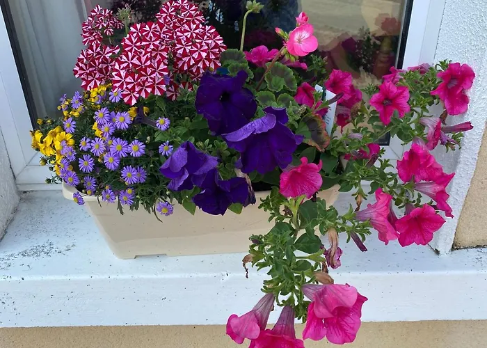 民宿 Castlebaldwin Country